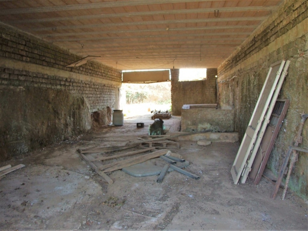 DSCF4840 (FILEminimizer).JPG